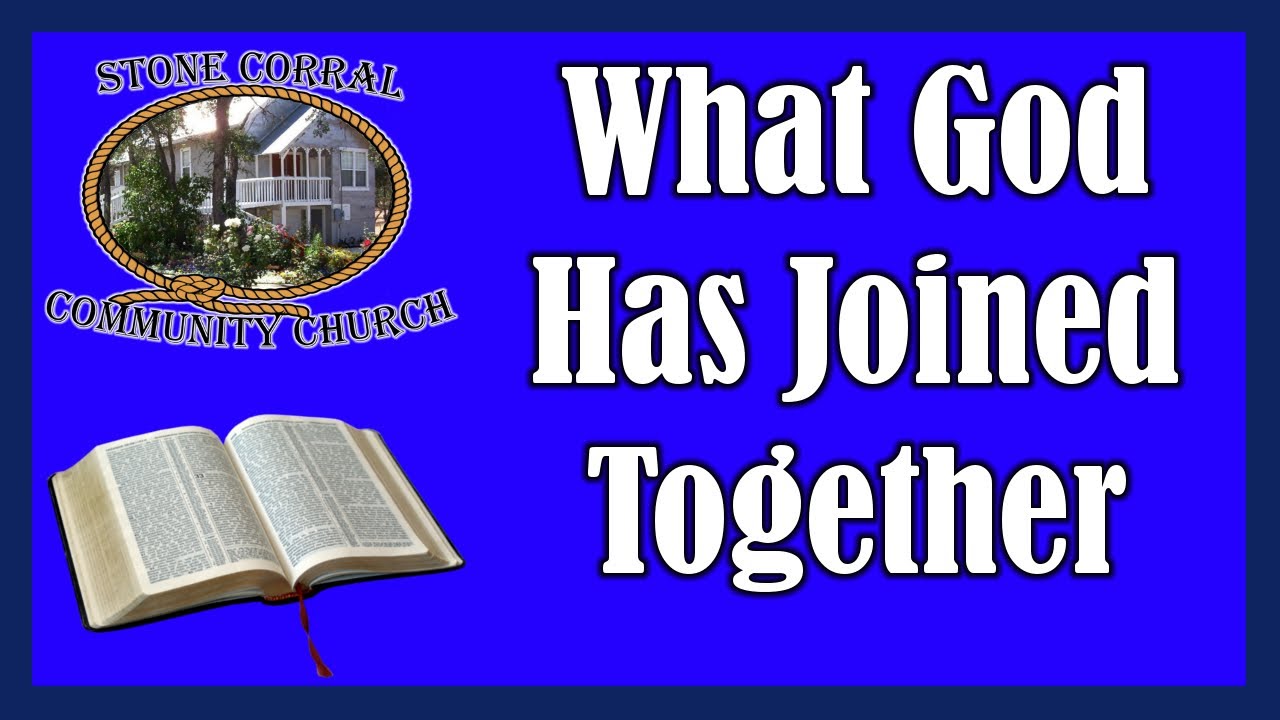 what-god-has-joined-together-matt-19-1-9-3-30-25-youtube