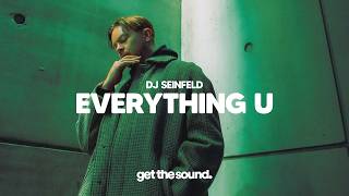 DJ Seinfeld - Everything U