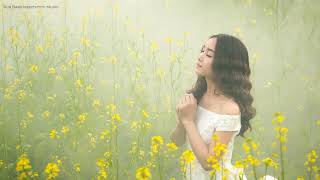Download Lagu Nikola Tesla 3 6 9 Code Music with 432 Hz Tuning, Healing 432 Hz Music for Meditation MP3 Download Lagu Nikola Tesla 3 6 9 Code Music with 432 Hz Tuning, Healing 432 Hz Music for Meditation MP3