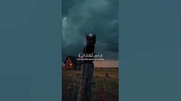 القرآن الكريم Quran 