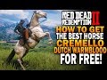 How To Get The Best Horse, Cramello Gold Dutch Warmblood! Red Dead Redemption 2 Horses [RDR2]