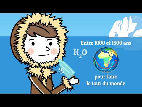 Vidéo: Courants de l'océan mondial - mouvement et vie