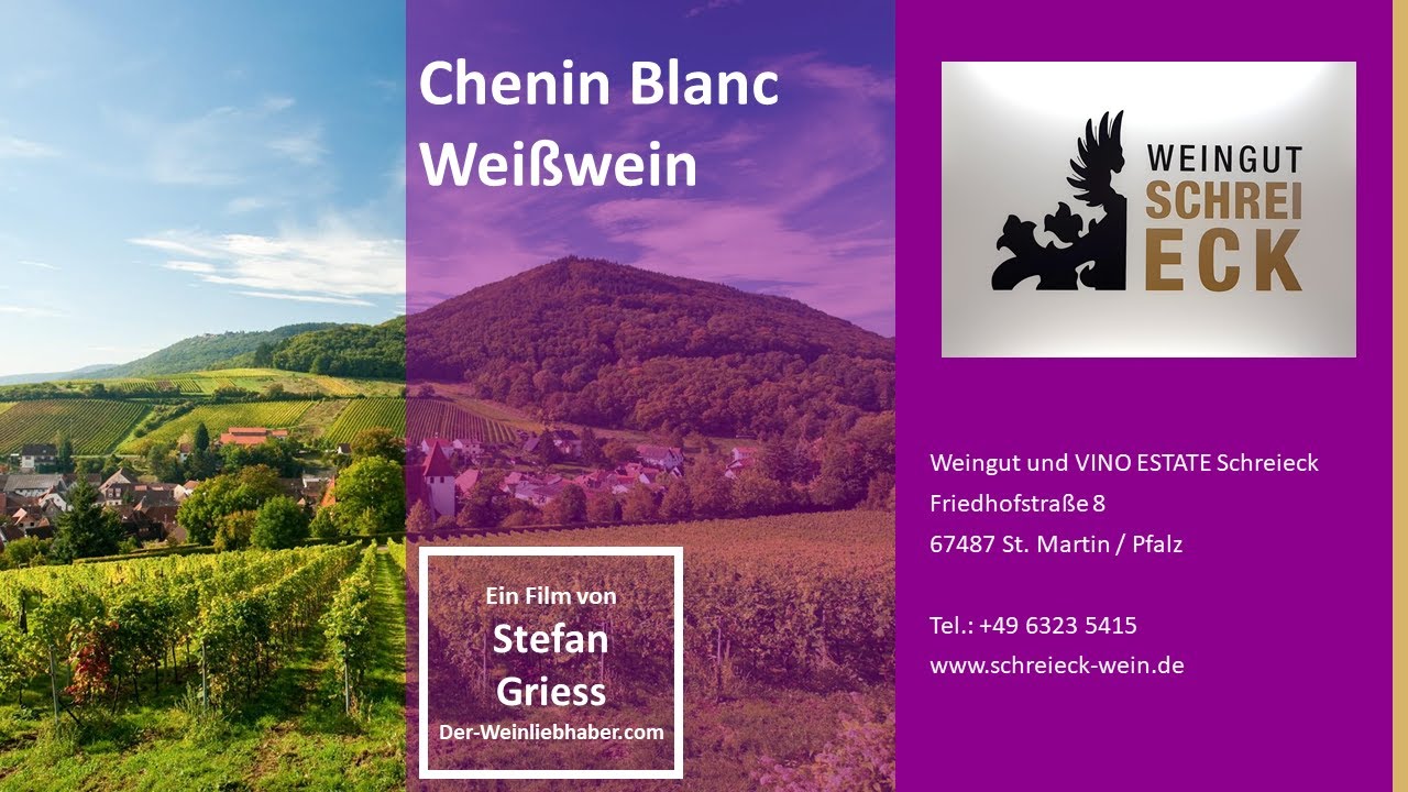 Chenin blanc  - Weißwein - Südliche Weinstraße - St. Martin - Pfalz - Weingut Helmut Schreieck