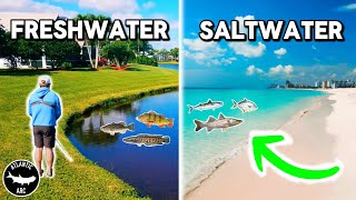 24-Hour FLORIDA Multi-Species Fishing