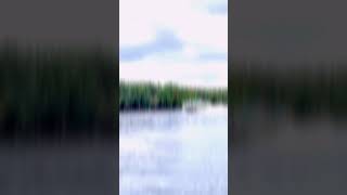 Sb Tembilahan Sb Batam Sb P Burung Sb Balai Sb Guntung sbevelyancalisca tembilahan guntung