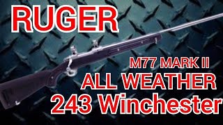 Ruger M77 Boat Paddle 243 All Weather