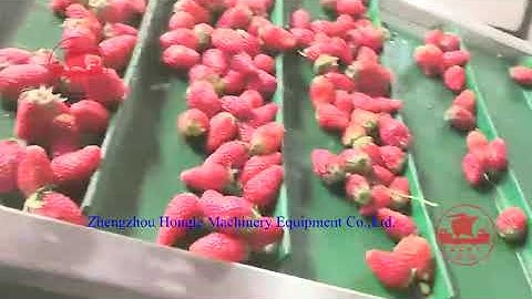 Strawberry size sorting machine Strawberry grading machine