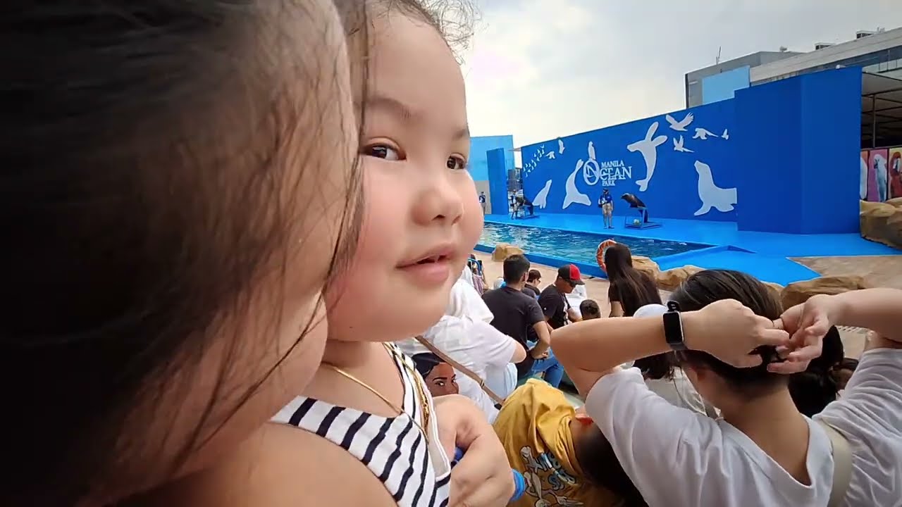 Unbelievable Intelligence of Sea Lion + Bird Show | TEAM RODRIGUEZ | MANILA OCEAN PARK