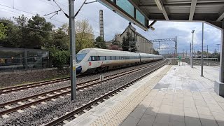 TCDD | HT 65011 (CAF) | Servis Dışı Yüksek Hızlı Tren (YHT) 