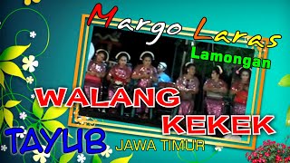 18. WALANG KEKEK _ WOLU-WOLU _ TAYUB MARGO LARAS LAMONGAN