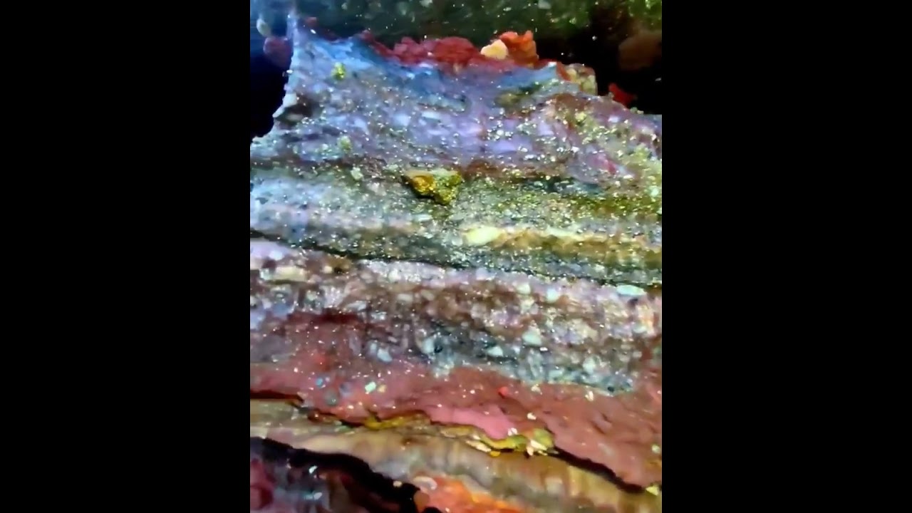 🏖️Red beach of Hormozgan Island, Iran