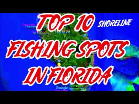 TOP 10 - BEST FISHING SPOTS IN FLORIDA - SHORELINE