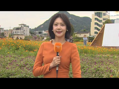 [날씨] 절기 한로, 선선한 날씨…낮까지 곳곳 '비' / 연합뉴스TV (YonhapnewsTV)