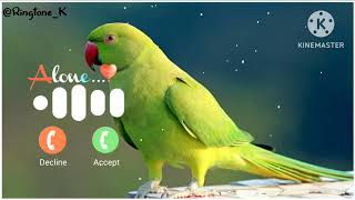 Mobile phone ringtone ||Notification Ringtone || SMS Ringtone || Message Ringtone || SMS Sound
