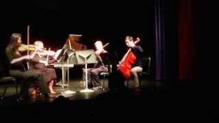 David Gildin - Nebula - Original String Quartet Composition