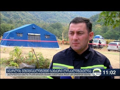 ყვარლის მუნიციპალიტეტში ხანძარი ლოკალიზებულია