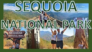 Sequoia National Park Travel Vlog | Tips on What to See