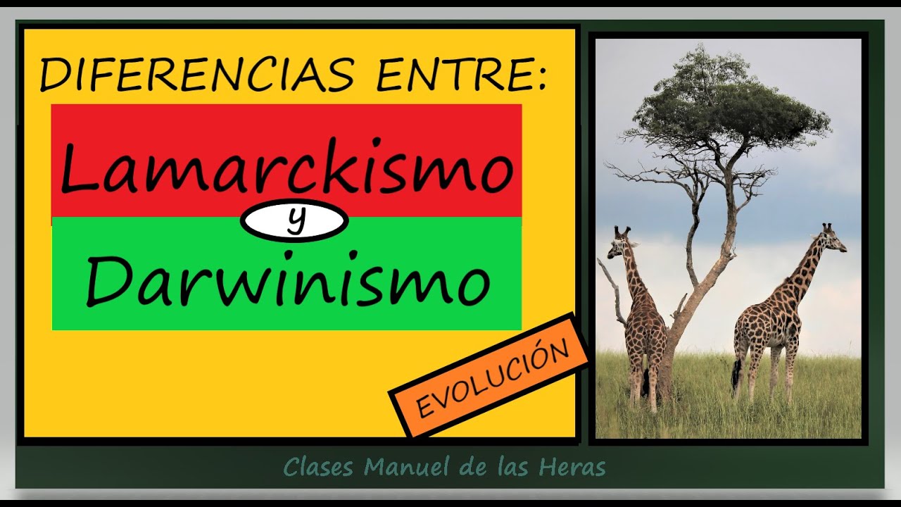 Diferencias entre LAMARCK y DARWIN. Caracteres Adquiridos y Selección