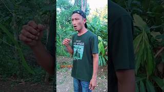 Download Lagu Suara batuk suami gua tu#shorts #aswinshankara #funy MP3