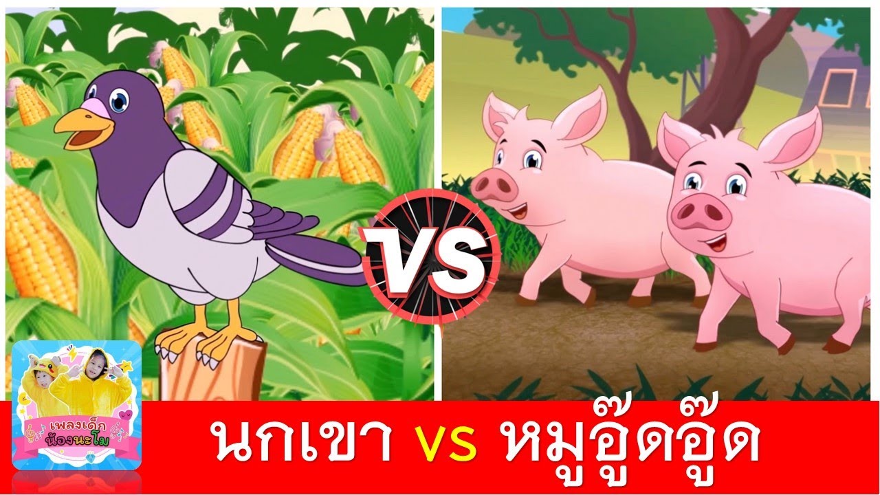 นกเขาบินข้ามเขา vs หมูอู๊ดอู๊ด