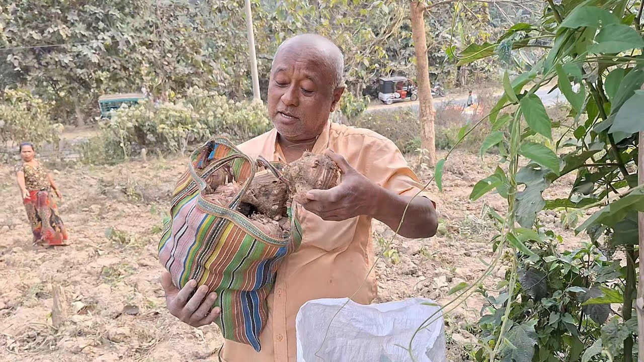 ভাইরাল কচুক্ষেত আজ (২)