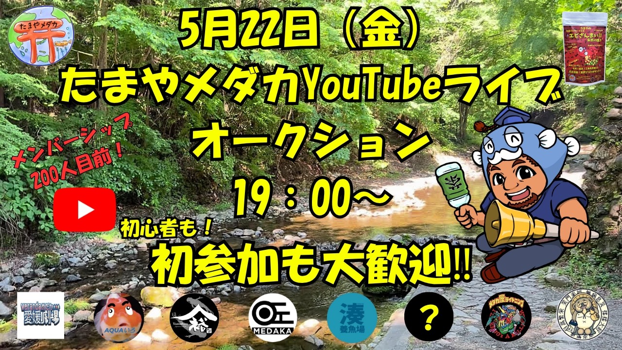 5月22日(金) ライブオークション