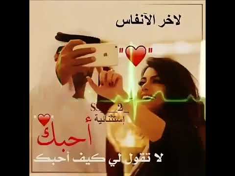 قناة نوح الطيور لكل المغتربين 