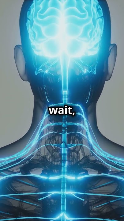 how-many-volts-can-a-human-produce-shorts-shortknowledge-youtube