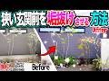 【狭い庭DIY】センス不要!植木の足元「手前に植えない」だけで初心者感を完全脱却するビフォーアフター