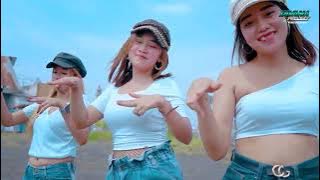 DJ POK AMI AMI BELALANG KUPU KUPU REMIX PARGOY DIVANA PROJECT