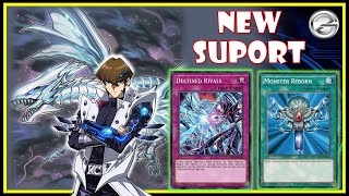 Yugioh Duel Links | Blue Eyes - Structure Deck: Sword Of Paladin With Monster Reborn | 遊戯王デュエルリンクス