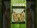 ビジュ良すぎw コミュニティヤバいって評判💕