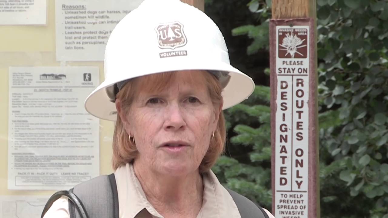 Friends of the Dillon Ranger District Celebrates 11 Years!