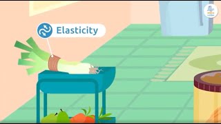 Elasticity and Plasticity