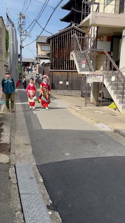 Feeling lucky to see a Geisha in the streets of Kyoto 🇯🇵 #travel #japan #geisha #kyoto #shorts