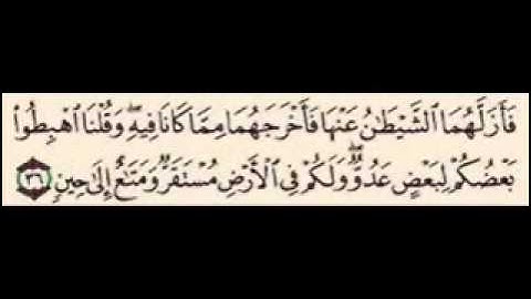 سورة البقره آيه 35 - 36