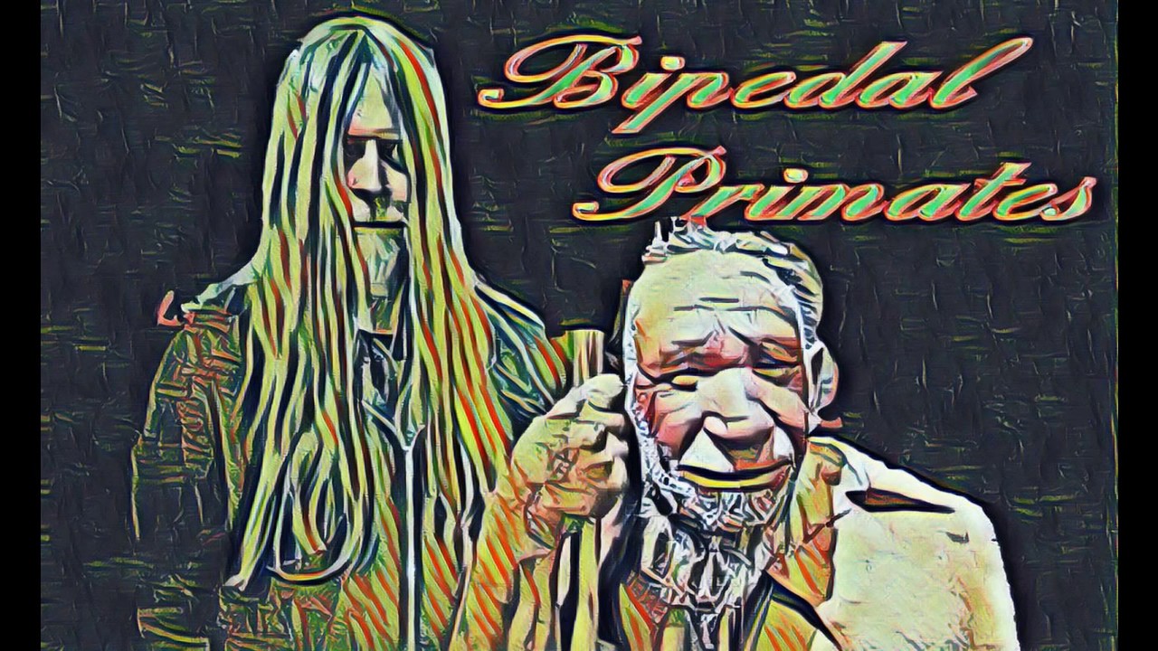 Bipedal primates