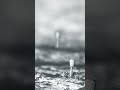 Bacteriophage virus in electron microscope