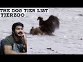 The Dog Tier List (TierZoo) CG Reaction