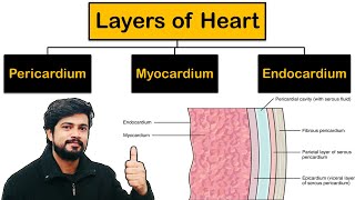 Layers Of Heart - Pericardium, Myocardium, Endocardium In Hindi Cardiovascular System