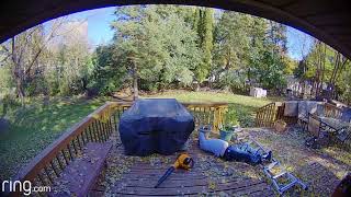 Off Duty Firefighter Falls Off Ladder And Knocks Self Unconcious