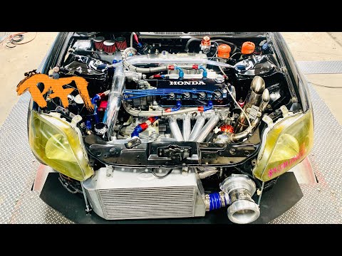 Work Hard Rip Harder! Island Civic and 700hp single Cam