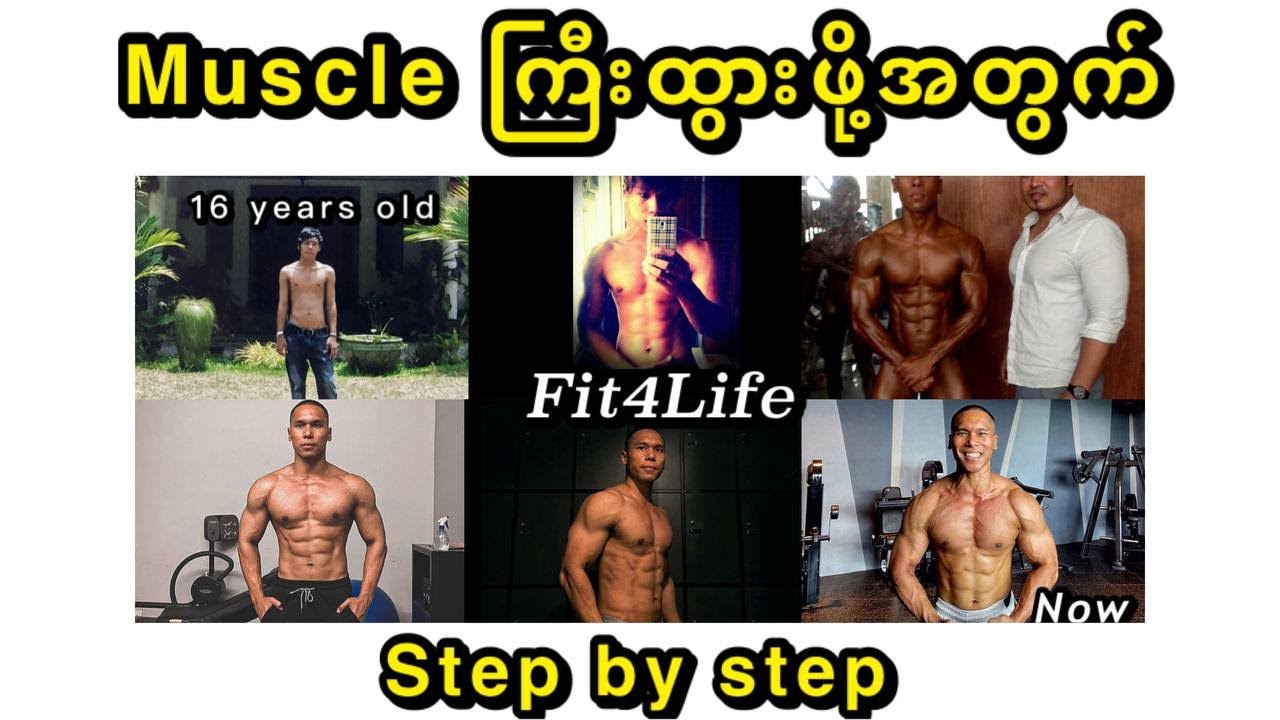 သိပ္ပံနည်းကျ Muscle တည်ဆောက်နည်း Step by step