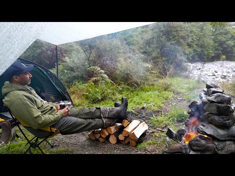 Video: Hvad tygge er bedre at rense en hunds tænder? Video: Hvad tygge er bedre at rense en hunds tænder?