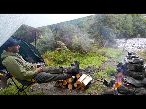 犬と一緒に森の小川で雨の中キャンプ - Rain ASMR