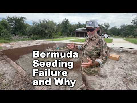 Why My Bermuda Seeding (Mostly) Failed So It Doesn't Happen to YOU!