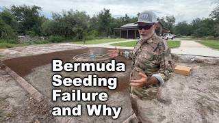 Why My Bermuda Seeding (Mostly) Failed So It Doesn't Happen to YOU!