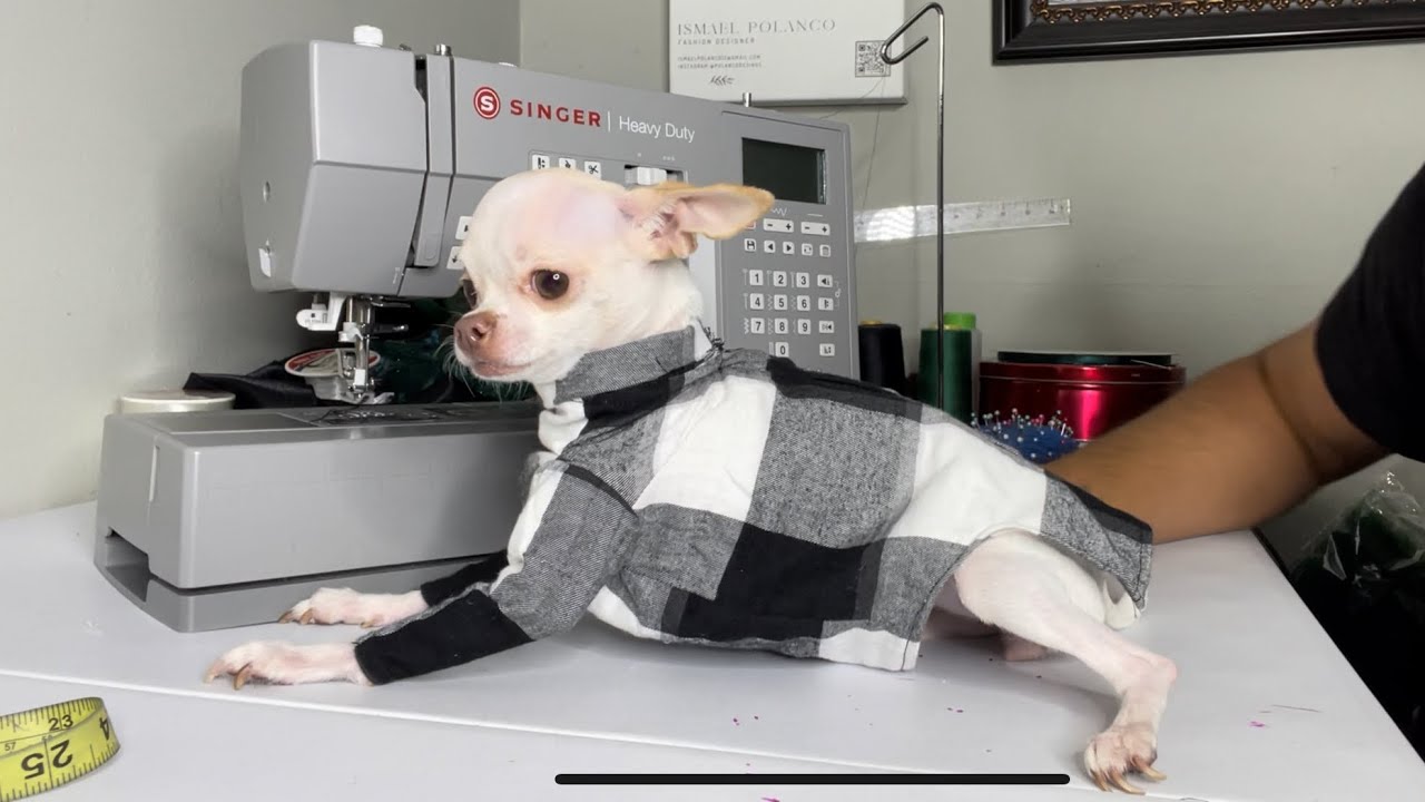 DIY: how to make dog pajamas for SHA-boo-YA ￼