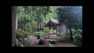 4k ASMR Binaural Rain Sounds For Sleep and Meditation in Quarantine