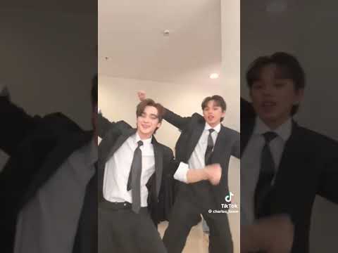 قمر اوي بحبهم من ساعت ماشفت الفيديو جيش شايق